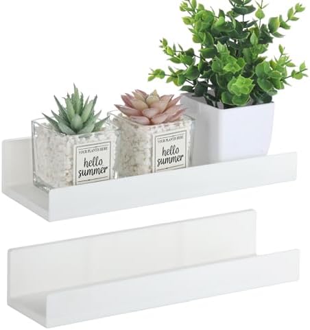 Rainmae 2 Pcs Floating Window Shelves for Plants
