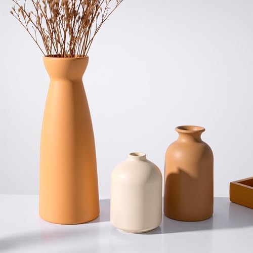 Ceramic Vase Set of 3 Modern Boho Farmhouse Decor
