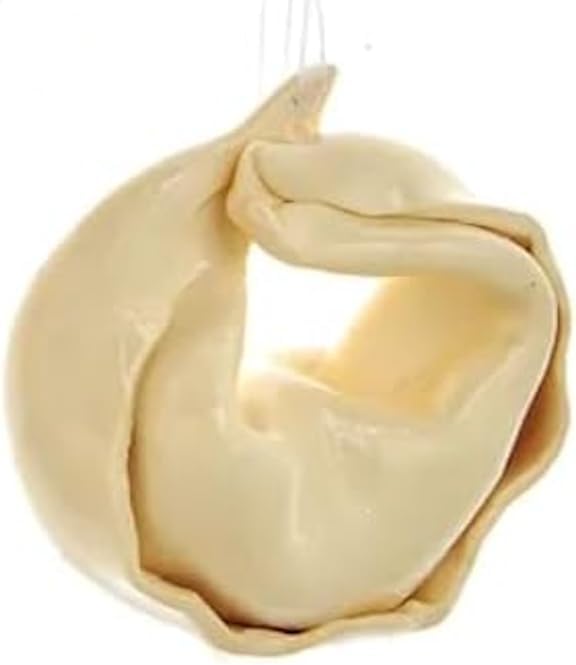 The Bridge Collection Tortellini Ravioli Ornaments Set of 3