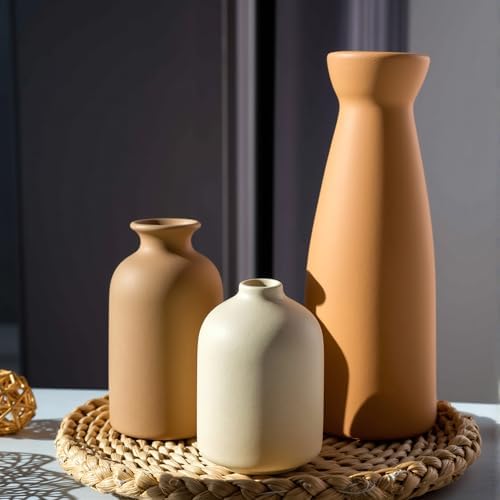 Ceramic Vase Set of 3 Modern Boho Farmhouse Decor