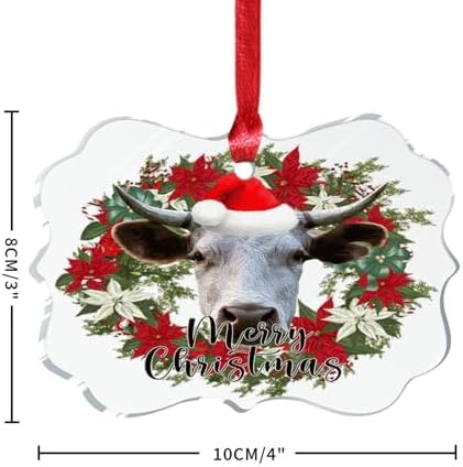 3 Inch Clear Acrylic Christmas Ornaments 2023 Keepsake Decor