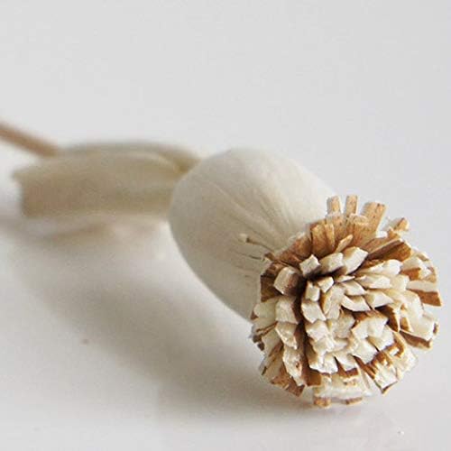 10 Poppy Sola Flower Diffuser Decor Set