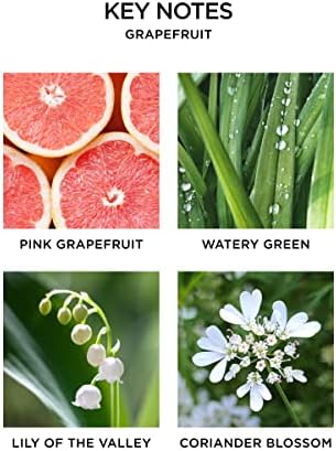NEST New York Grapefruit Scented Candle Diffuser Set