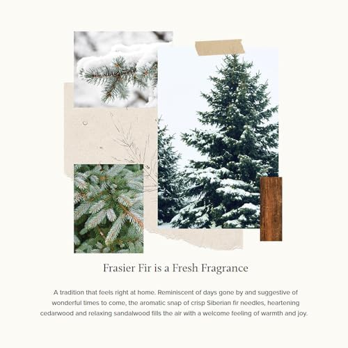 Thymes Frasier Fir Reed Diffuser Set - Green 4 fl oz