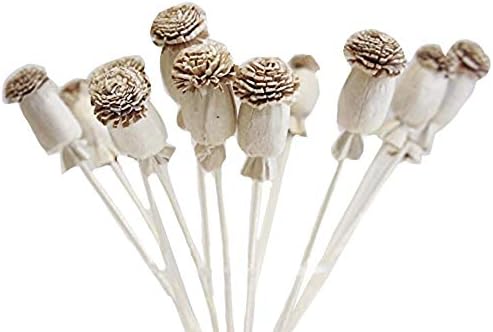 10 Poppy Sola Flower Diffuser Decor Set