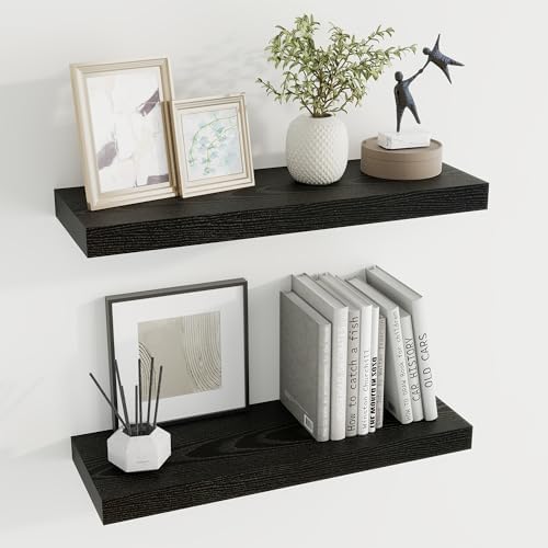 Dreamland 24 Inch Floating Shelves Set of 2 Black