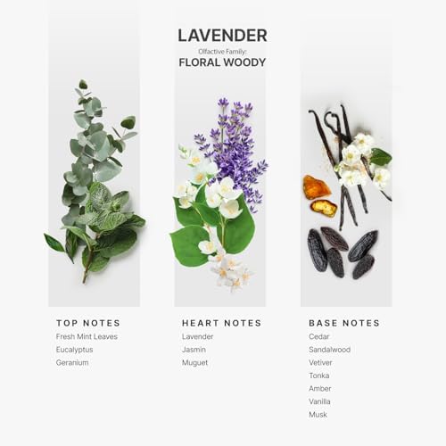 Aromaplan Hotel Scents Lavender 5 Fl Oz 2 Pack