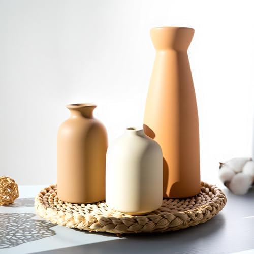 Ceramic Vase Set of 3 Modern Boho Farmhouse Decor
