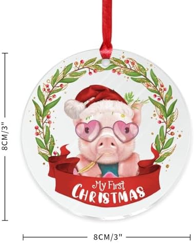 3 Inch Clear Acrylic Christmas Ornaments 2023 1