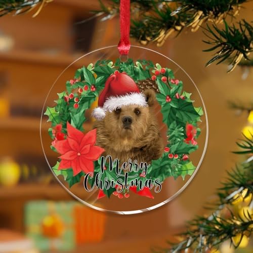 2023 Animal Woodland Acrylic Christmas Ornaments Bauble Decorations