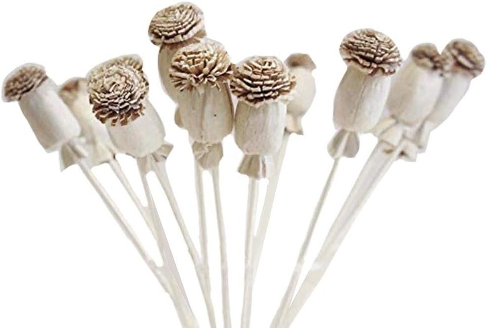10 Poppy Sola Flower Diffuser Decor Set
