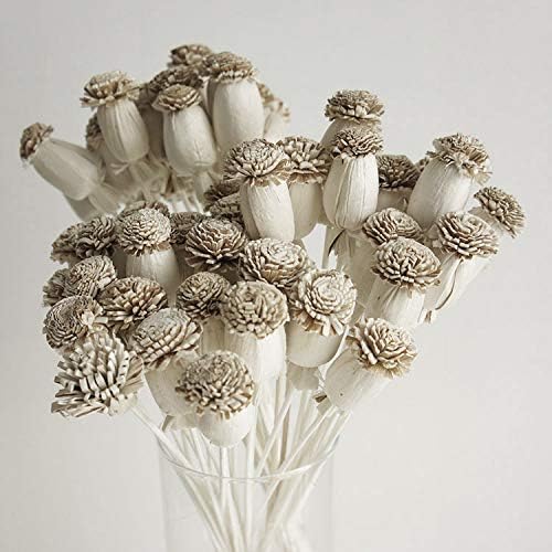 10 Poppy Sola Flower Diffuser Decor Set