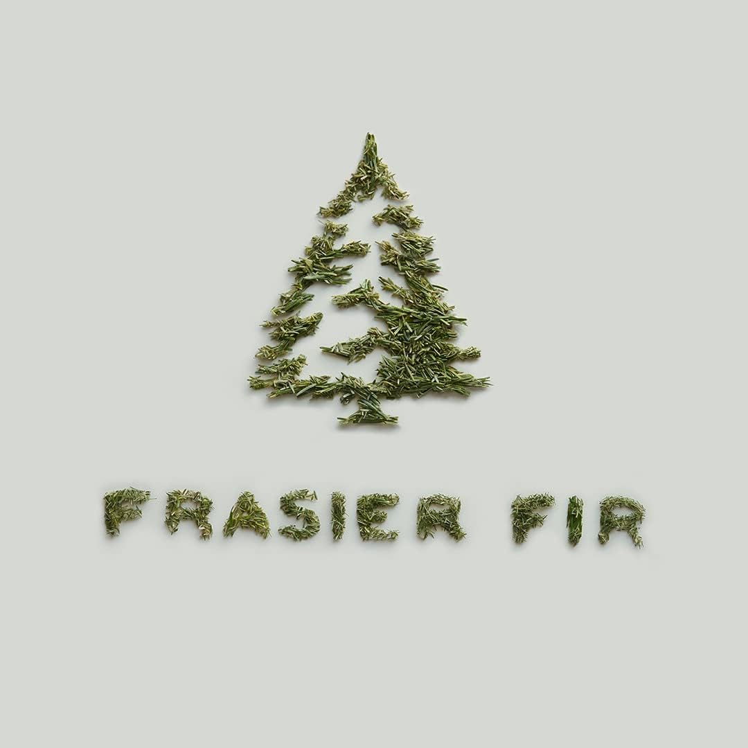 Thymes Frasier Fir Reed Diffuser Set - Green 4 fl oz