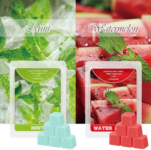 STRN Scented Wax Melts 6 Pack with Fruit Scents
