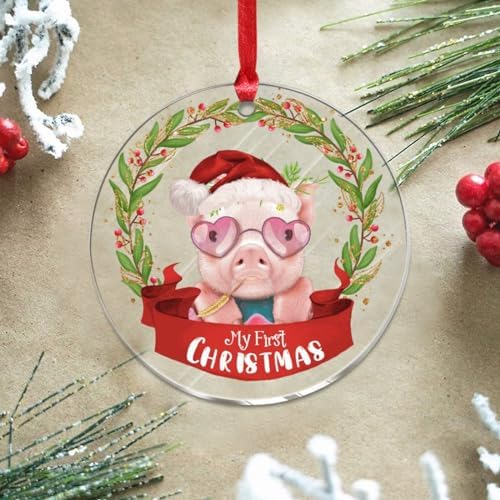 3 Inch Clear Acrylic Christmas Ornaments 2023 1