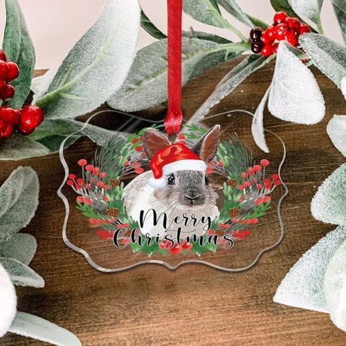 3 Inch Clear Acrylic Christmas Ornaments 2023 Rabbit Decor Bauble