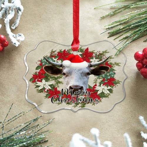 3 Inch Clear Acrylic Christmas Ornaments 2023 Keepsake Decor