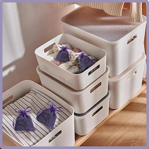 Dried Lavender Sachets for Home Pack of 20