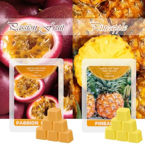 STRN Scented Wax Melts 6 Pack with Fruit Scents