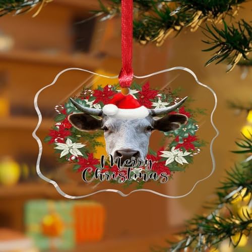 3 Inch Clear Acrylic Christmas Ornaments 2023 Keepsake Decor