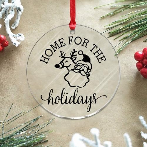 3 Inch Clear Acrylic Christmas Ornaments 2023 Home Decor Baubles