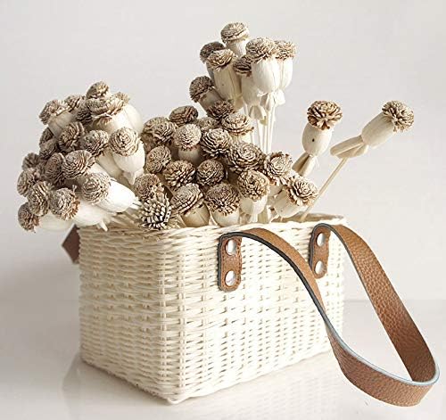 10 Poppy Sola Flower Diffuser Decor Set