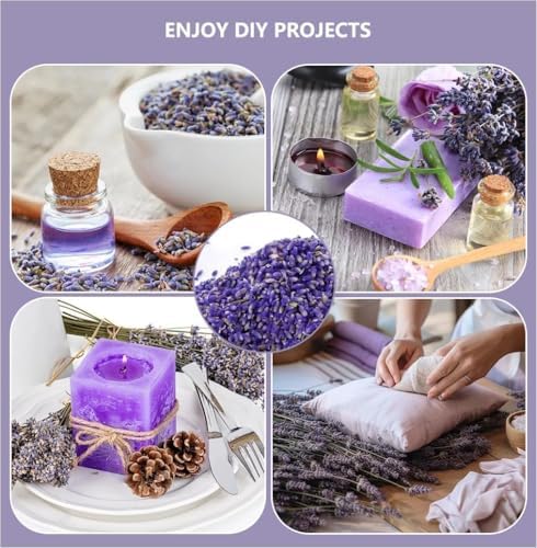 Dried Lavender Sachets for Home Pack of 20