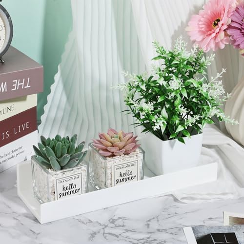 Rainmae 2 Pcs Floating Window Shelves for Plants