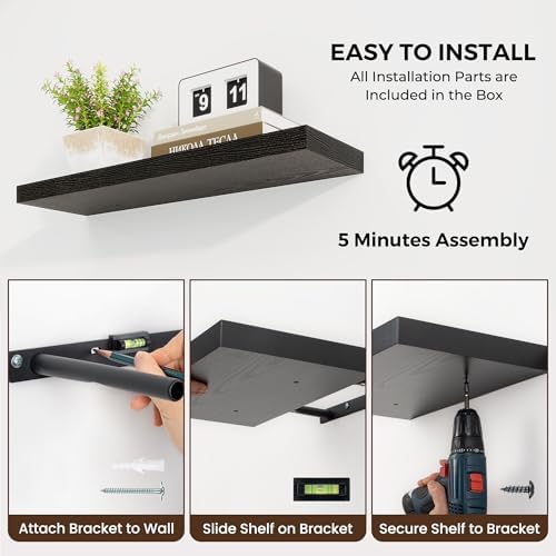 Dreamland 24 Inch Floating Shelves Set of 2 Black