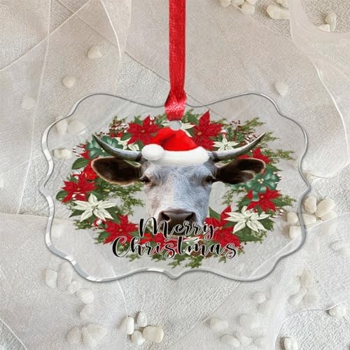 3 Inch Clear Acrylic Christmas Ornaments 2023 Keepsake Decor