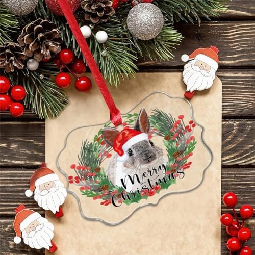3 Inch Clear Acrylic Christmas Ornaments 2023 Rabbit Decor Bauble