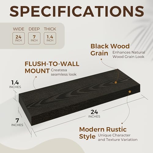 Dreamland 24 Inch Floating Shelves Set of 2 Black