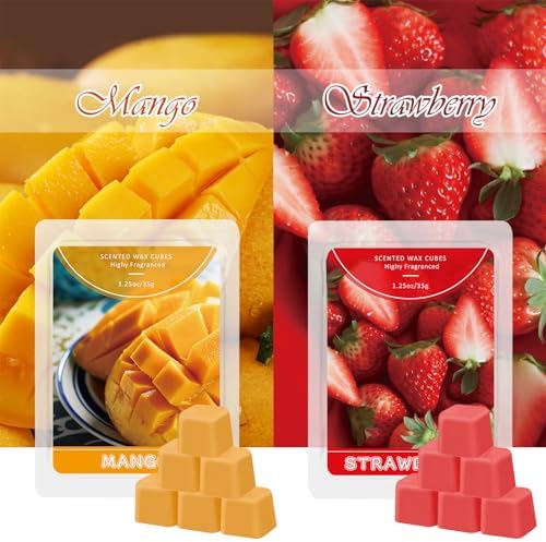STRN Scented Wax Melts 6 Pack with Fruit Scents