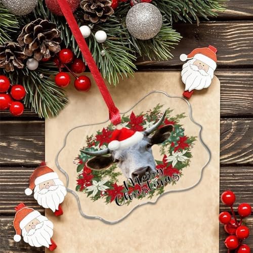 3 Inch Clear Acrylic Christmas Ornaments 2023 Keepsake Decor