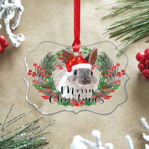 3 Inch Clear Acrylic Christmas Ornaments 2023 Rabbit Decor Bauble