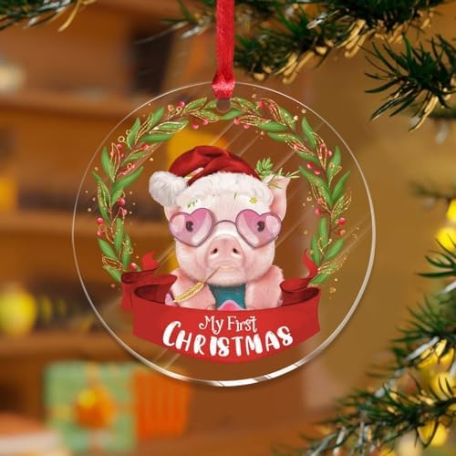 3 Inch Clear Acrylic Christmas Ornaments 2023 1