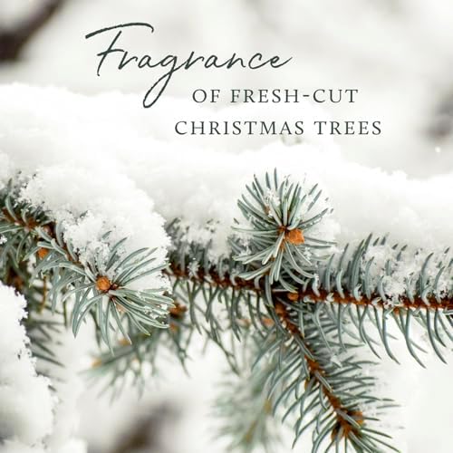 Thymes Frasier Fir Reed Diffuser Set - Green 4 fl oz