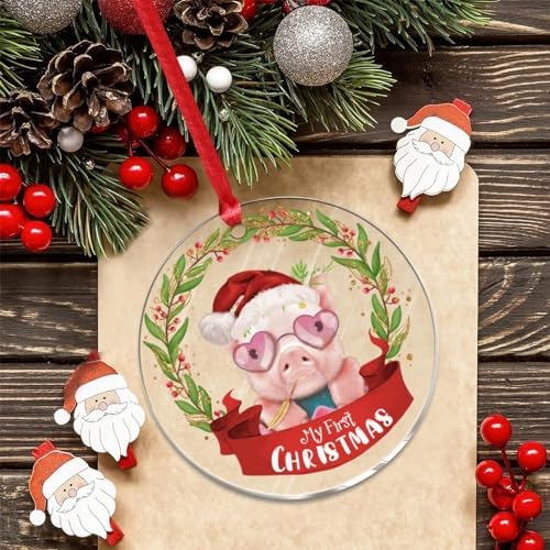 3 Inch Clear Acrylic Christmas Ornaments 2023 1
