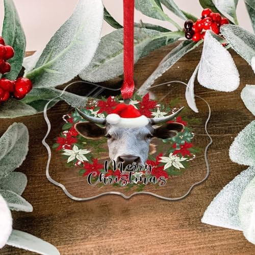 3 Inch Clear Acrylic Christmas Ornaments 2023 Keepsake Decor
