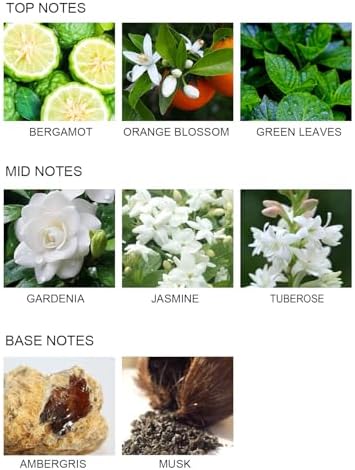UCC Gardenia in Blossom Reed Diffuser Set