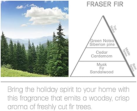 Acqua Aroma Fraser Fir Reed Diffuser 61 Fl Oz Christmas Scent