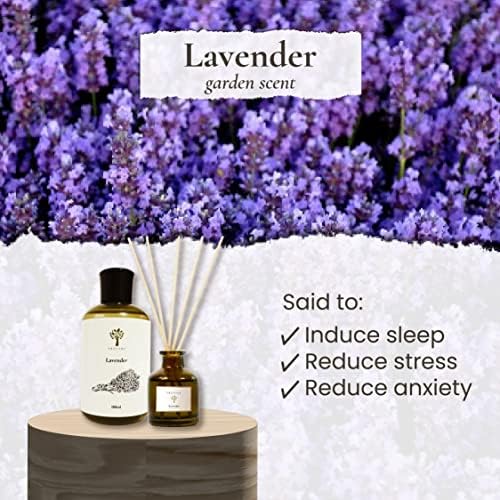 Pristine Lavender Dream Diffuser Refill with Reed Stick