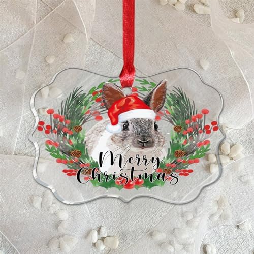 3 Inch Clear Acrylic Christmas Ornaments 2023 Rabbit Decor Bauble