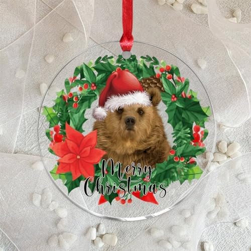 2023 Animal Woodland Acrylic Christmas Ornaments Bauble Decorations