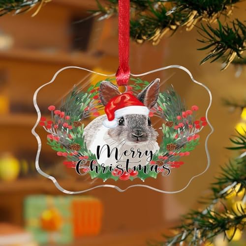3 Inch Clear Acrylic Christmas Ornaments 2023 Rabbit Decor Bauble