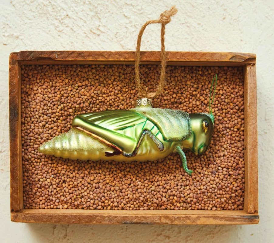 The Bridge Collection 5 Inch Hand Painted Glass Grasshopper Christmas Ornament