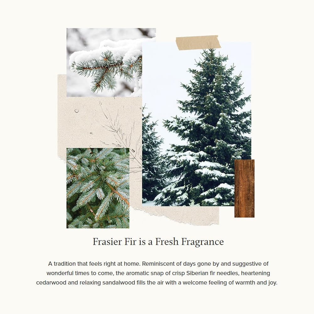 Thymes Frasier Fir Reed Diffuser Set - Green 4 fl oz