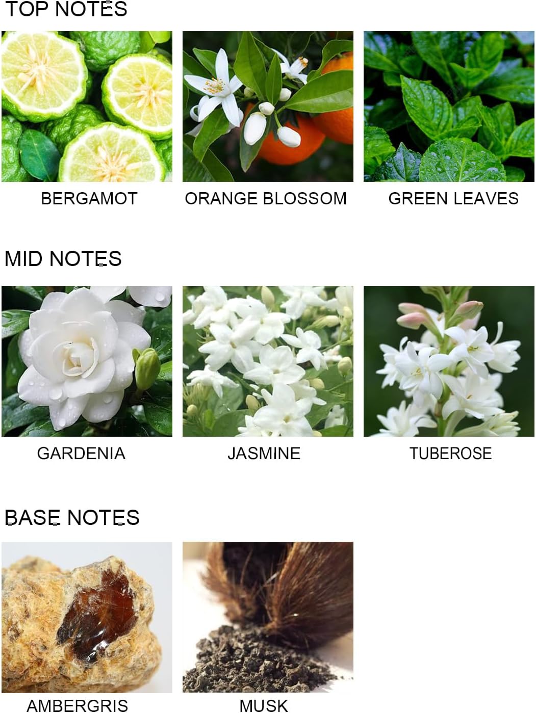 UCC Gardenia in Blossom Reed Diffuser Set