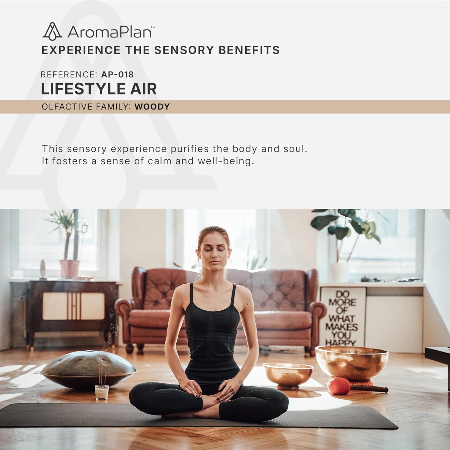 AROMAPLAN Lifestyle Air 5 Fl Oz Diffuser Oil 2 Pack