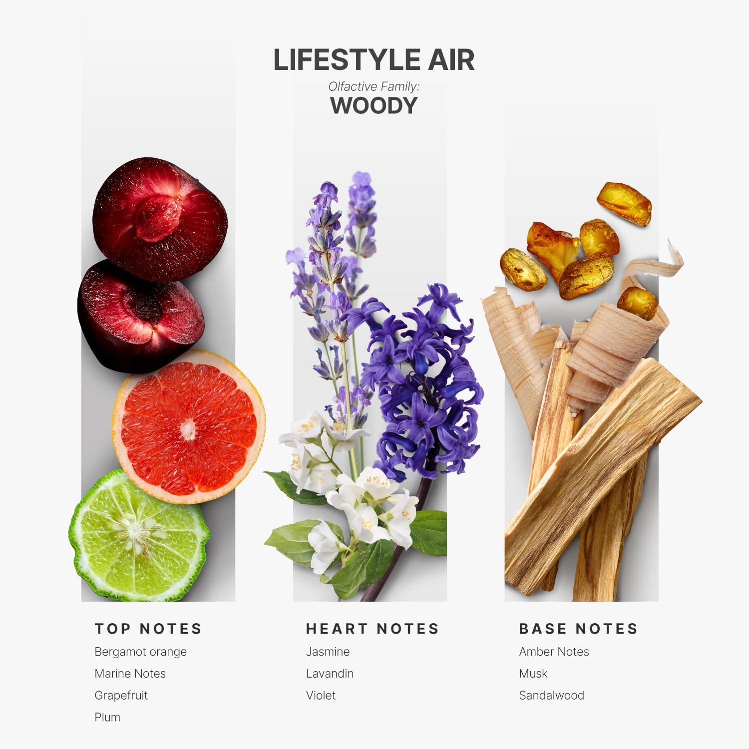AROMAPLAN Lifestyle Air 5 Fl Oz Diffuser Oil 2 Pack